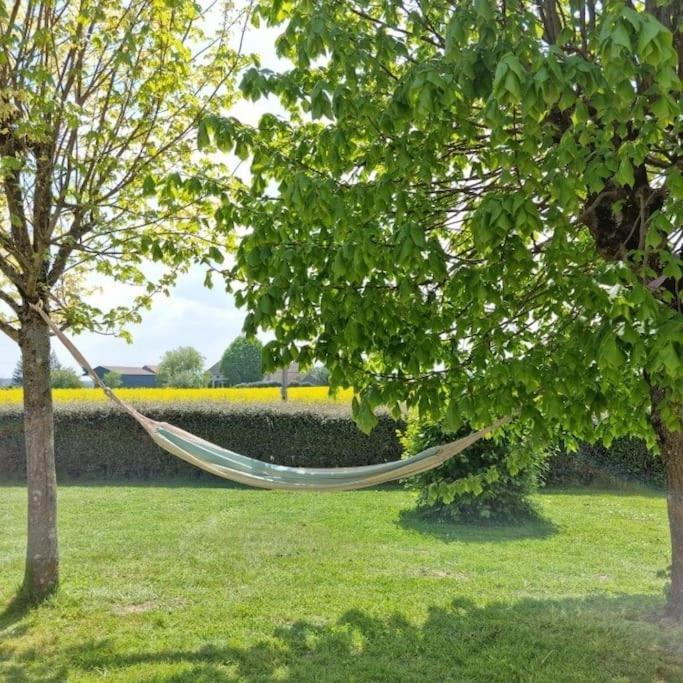 Champignelles Grande Maison De Plain Pied Avec Jardin Arbore. מראה חיצוני תמונה