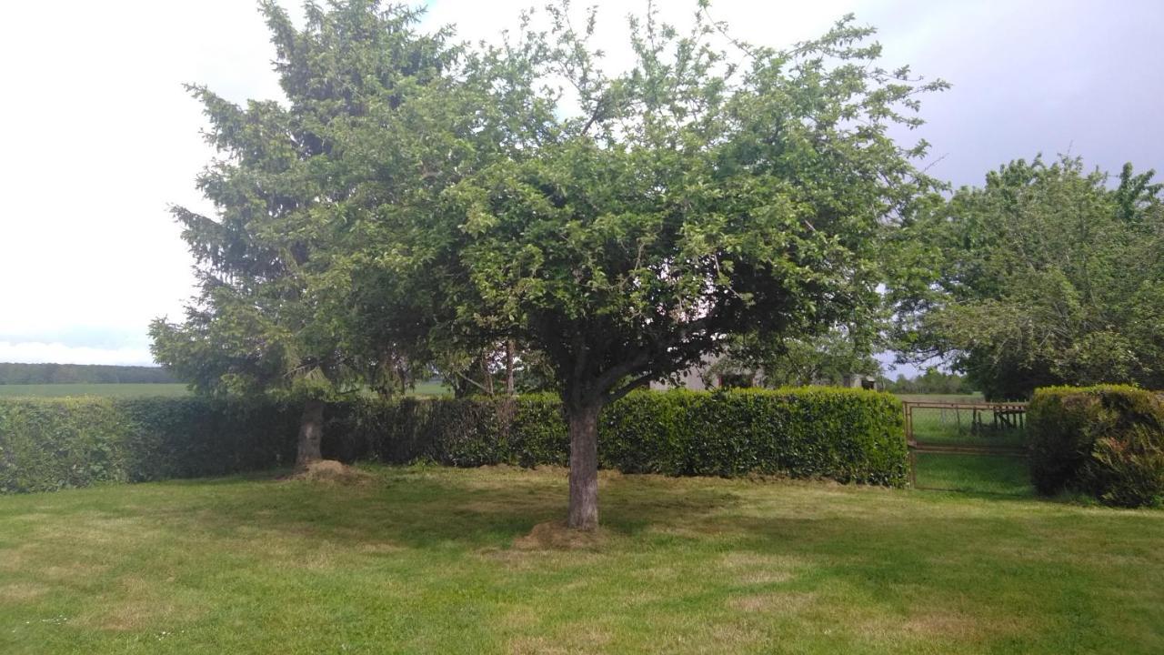 Champignelles Grande Maison De Plain Pied Avec Jardin Arbore. מראה חיצוני תמונה